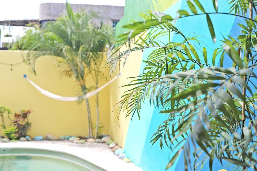 Studio -Trees At Mikasa- Near Beach, Pool, Fast Wifi, Ac & King Bed Puerto Escondido (Oaxaca) Exterior foto
